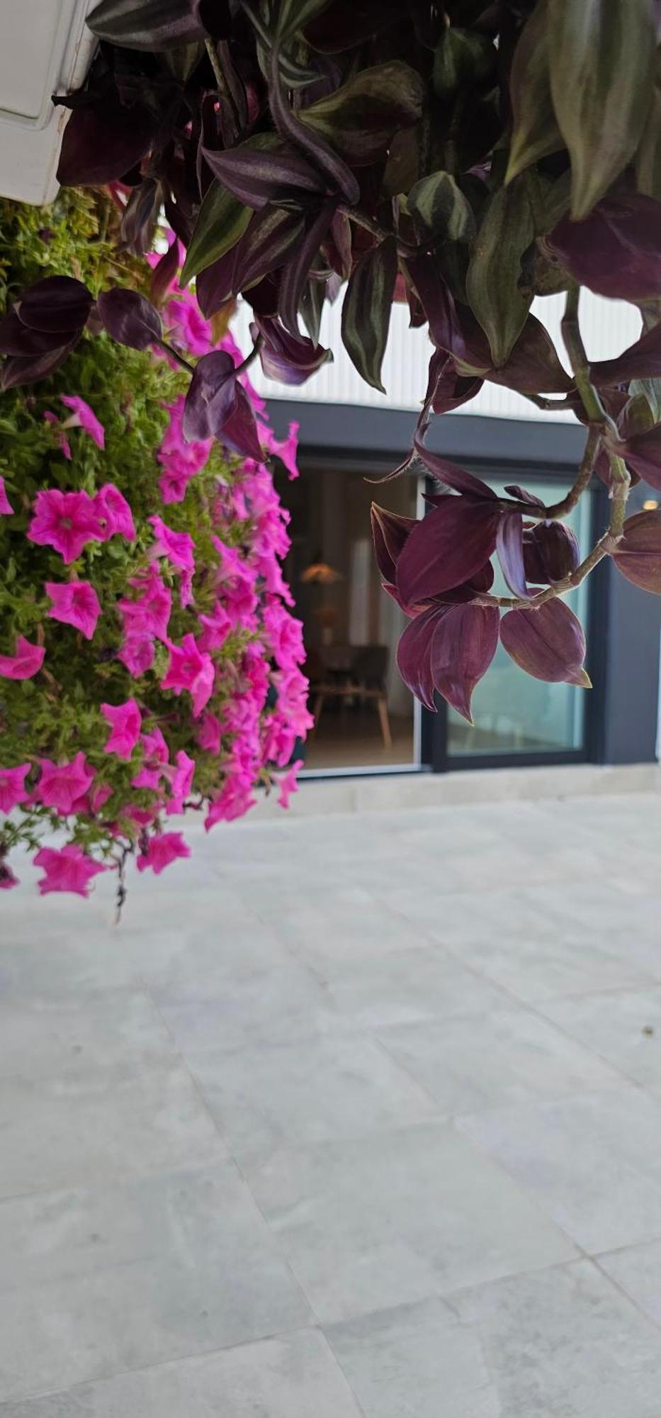 Albayda Garden Apartamento Granada Exterior foto